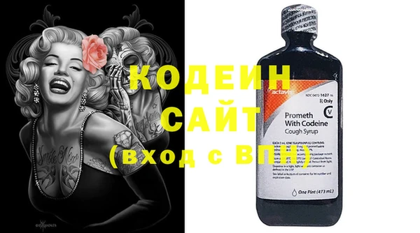 стаф Сясьстрой