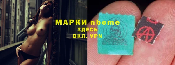 дурь Алексин