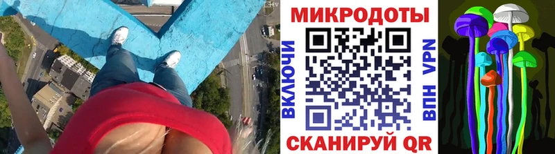 закладка  Полтавская  МЕГА маркетплейс  Галлюциногенные грибы Psilocybe 
